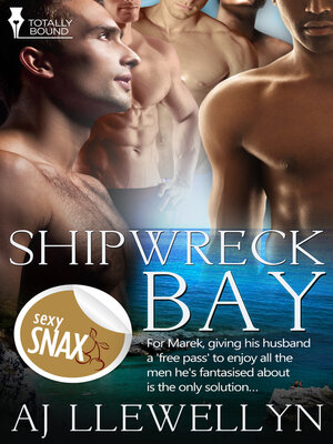 cover image of Shipwreck Bay